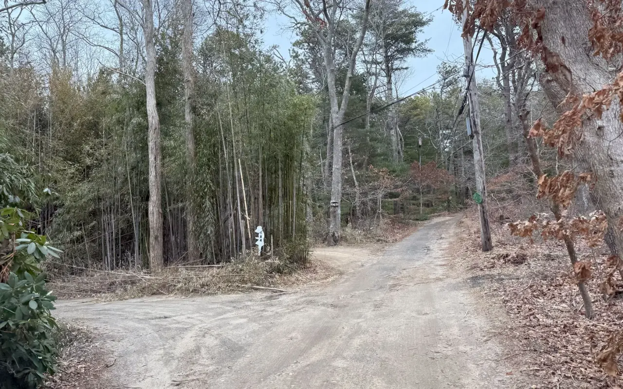 Dirt road winding through wooded trails on Martha's Vineyard