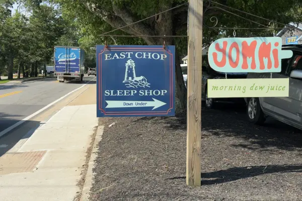 Signs for Yommi and Morning Dew Juice sharing the roadside in Vineyard Haven