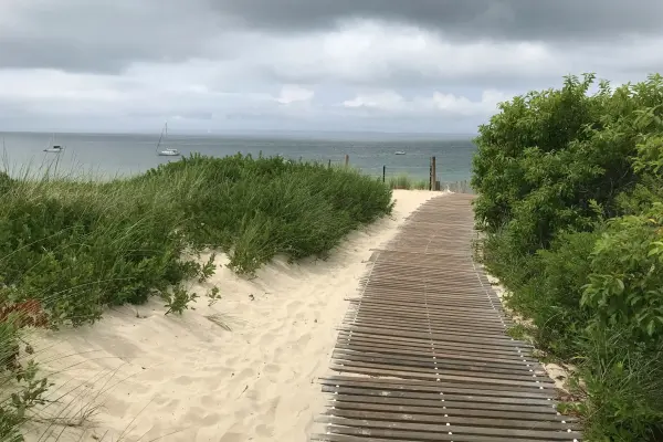 The boardwalk path through the dunes