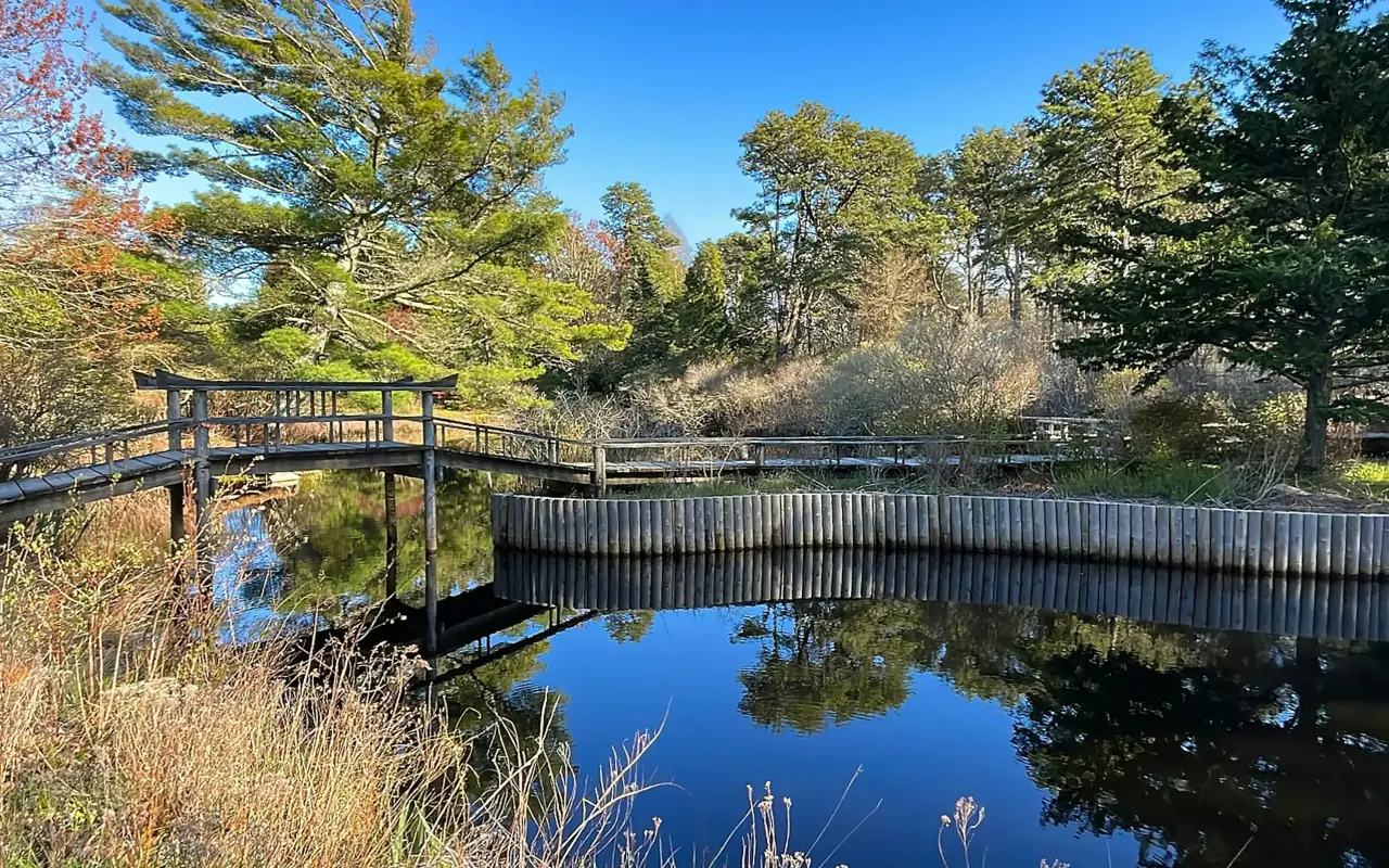The footbridge and pond at Mytoi Garden on a bright morning
