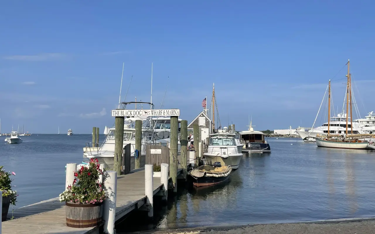 Sailboats moored in Vineyard Haven Harbor