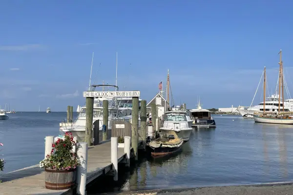 Schooners and flower boxes along the wharf