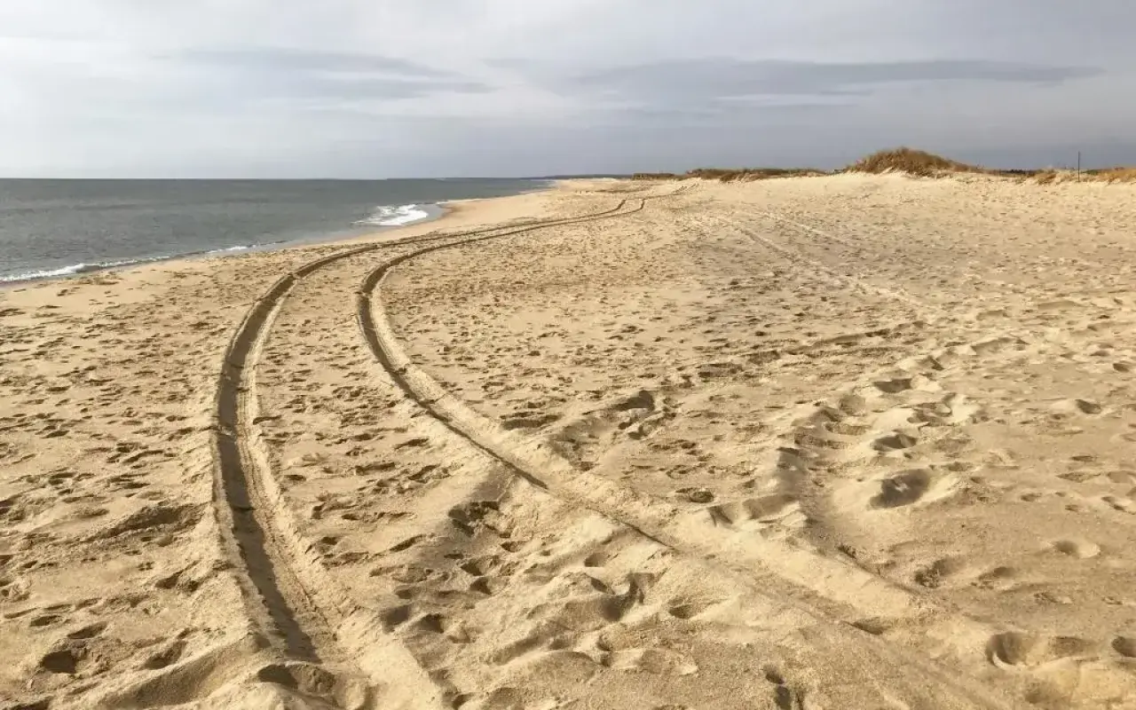 Vehicle tracks curving down the sand at South Beach