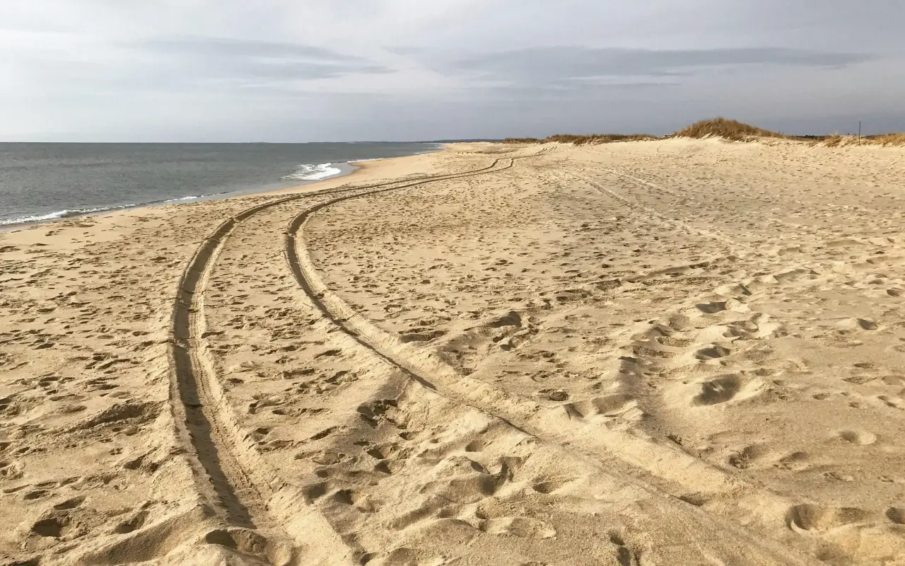 Tire tracks curving across the sand at South Beach in Edgartown