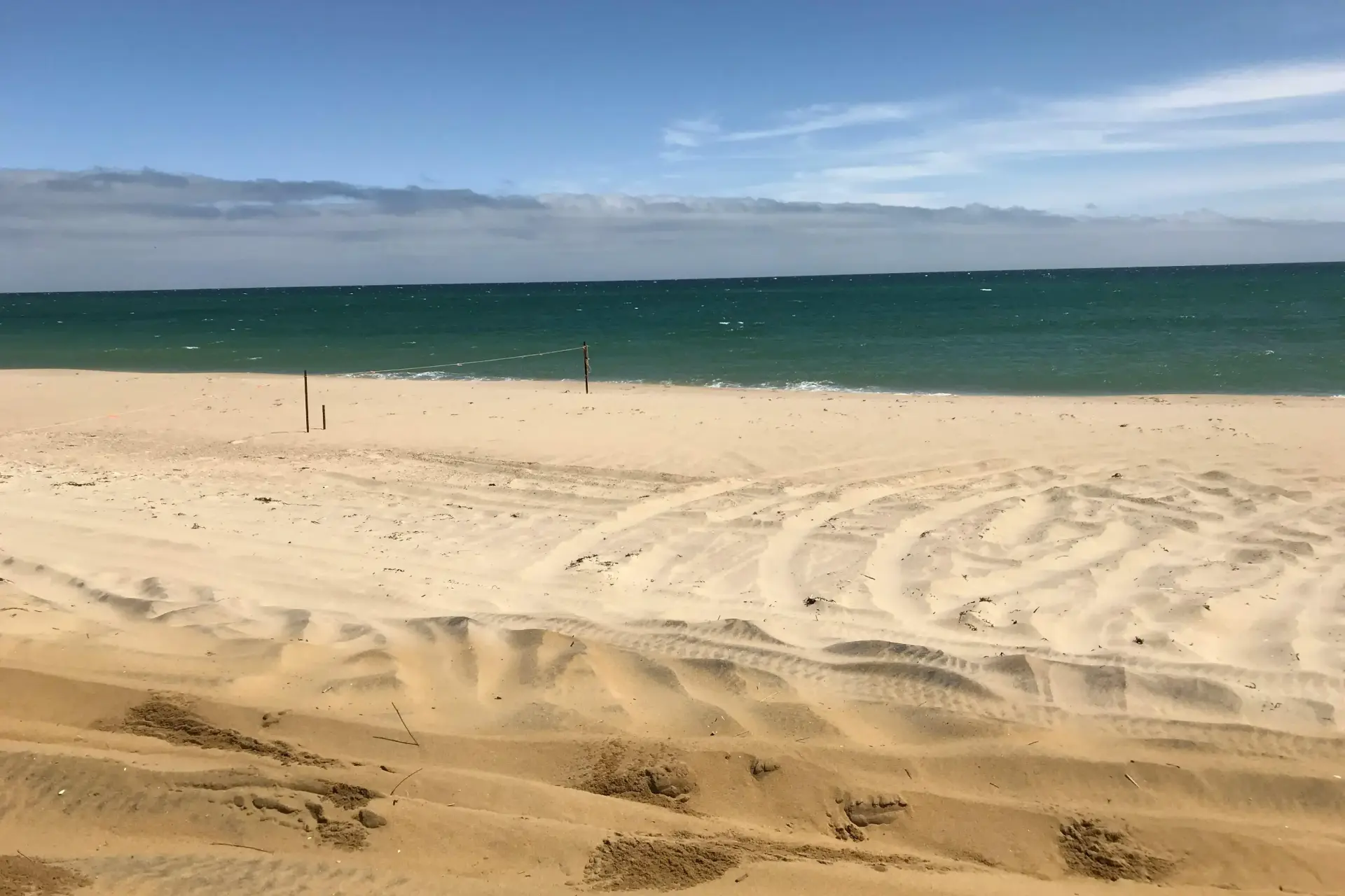 Martha's Vineyard Beach Guide 2026: Parking, Lifeguards, Dogs and Access for All 20 Beaches