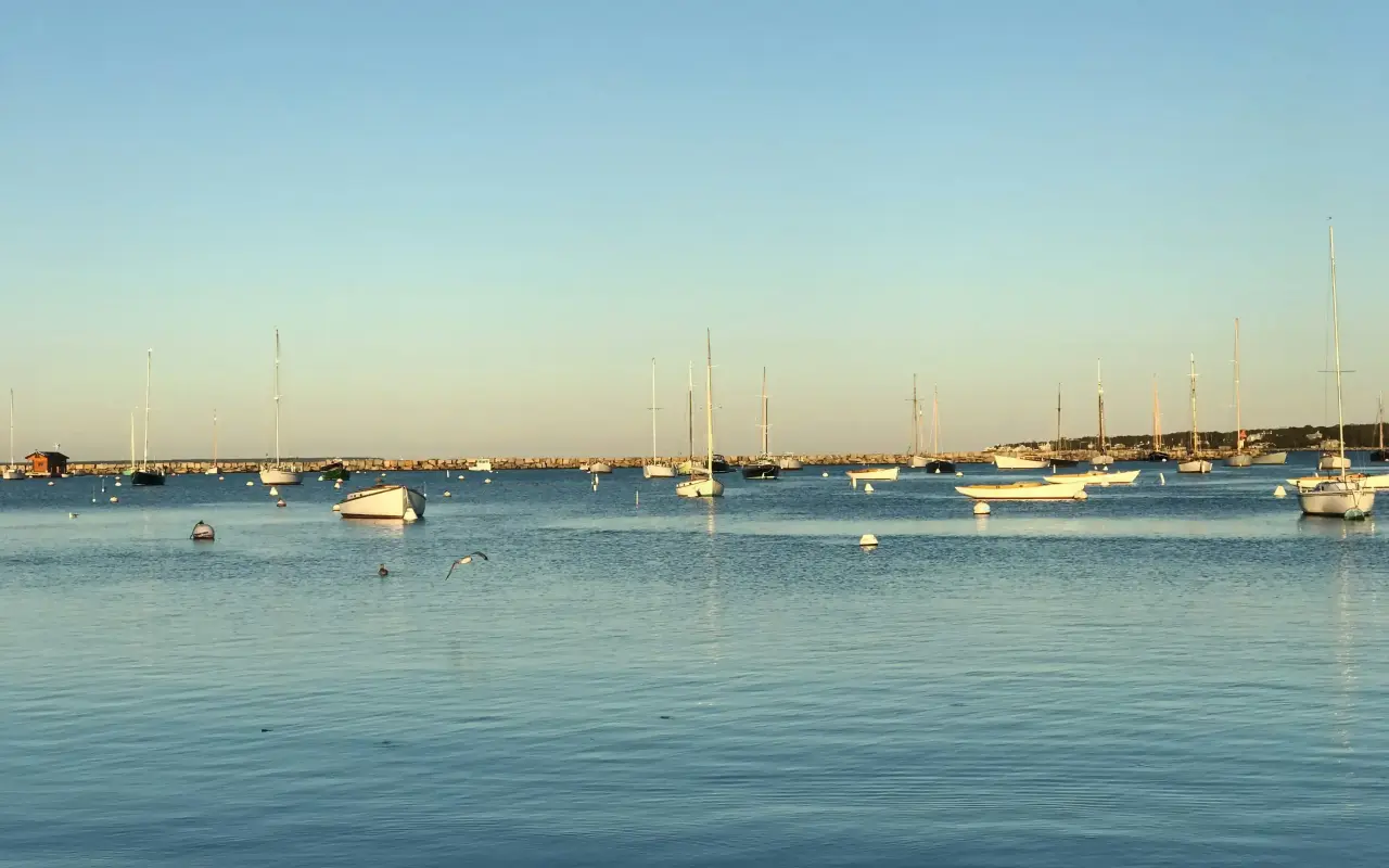 Sailboats moored in Vineyard Haven harbor on a clear day