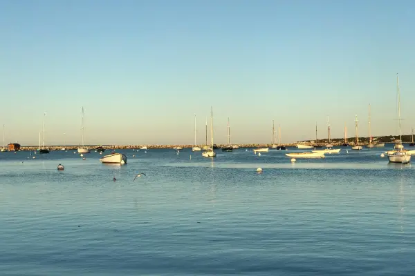 Moored boats filling the harbor