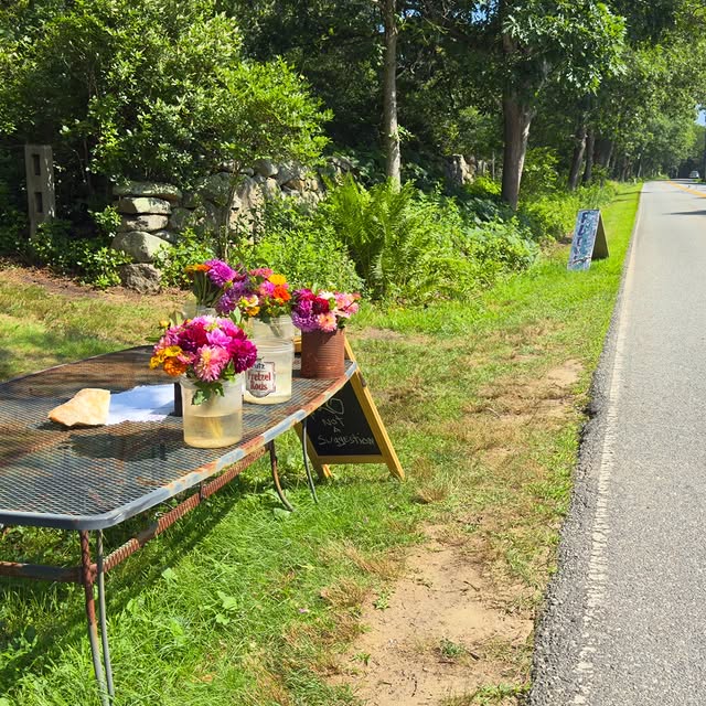 Roadside flower stand somewhere near Menemsha. Dahlias in old jars, honor system, chalkboard sign.V...