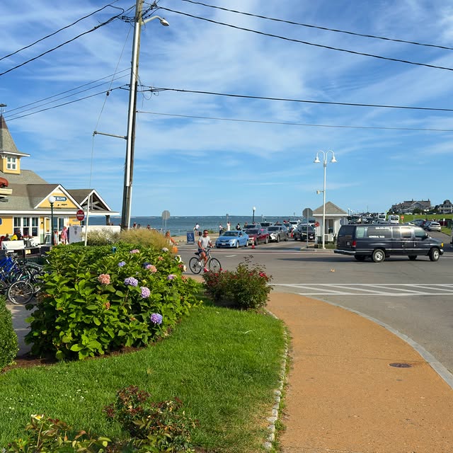 A wide look across Oak Bluffs by the harbor — hydrangeas along the path, bikes for rent, the Steamsh...