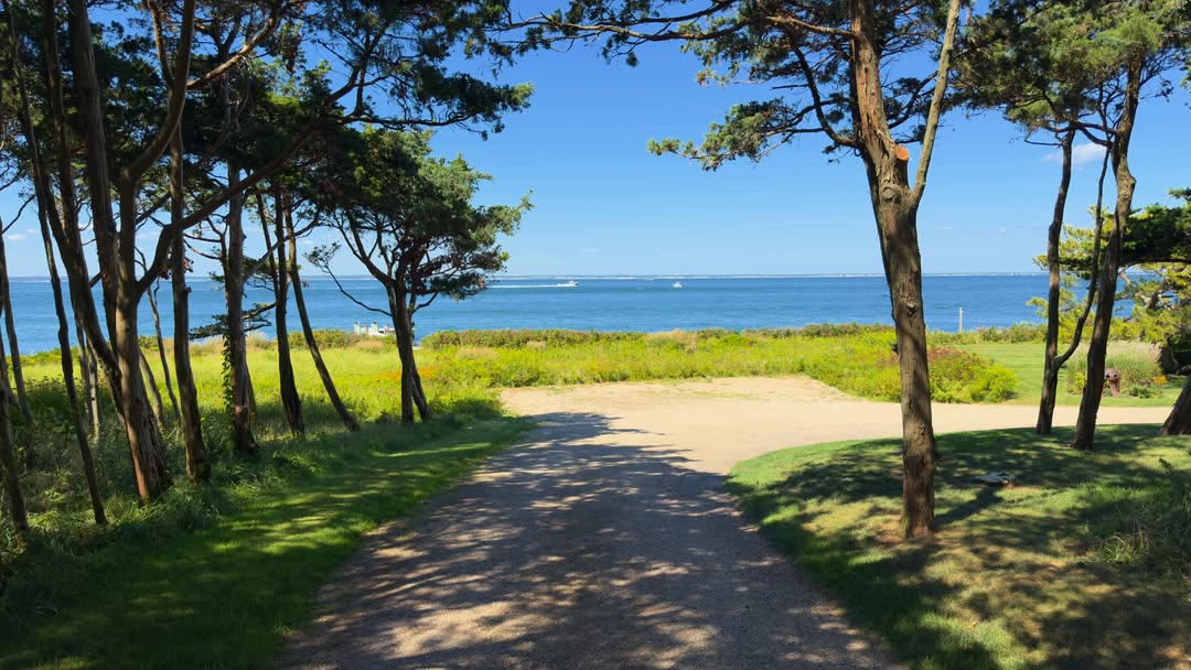 A path through the pines opening onto the water at East Chop — the peninsula on the north end of Oak...