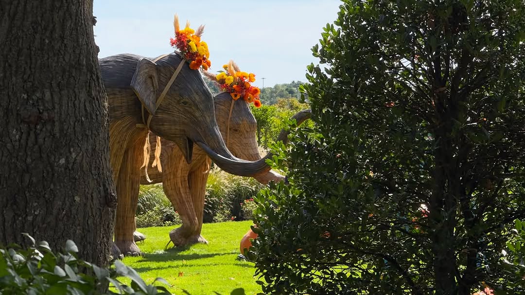 Woven elephants crowned with fall flowers stand on the lawn at the Harbor View Hotel in Edgartown. P...