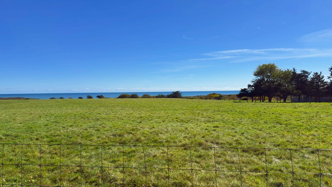 A pasture in Chilmark running down toward the Atlantic, with Lucy Vincent Beach out in the distance....