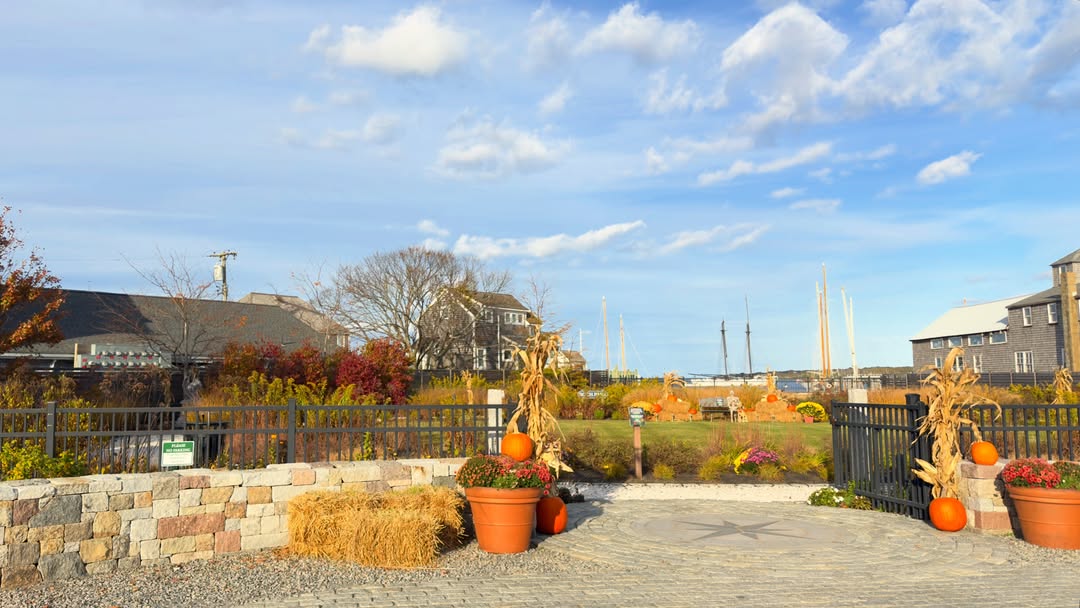 Boch Park in Vineyard Haven dressed for the last days of October: pumpkins, mums and corn stalks at...