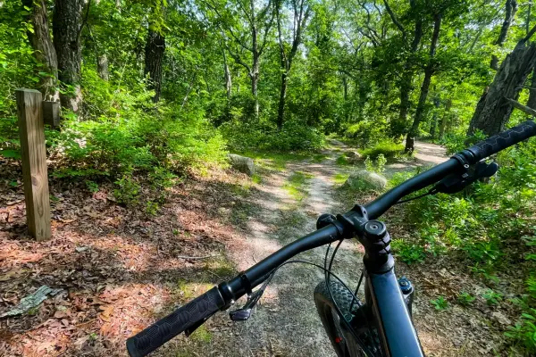 Handlebar view of a wooded bike trail