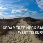 Cedar Tree Neck Sanctuary, West Tisbury