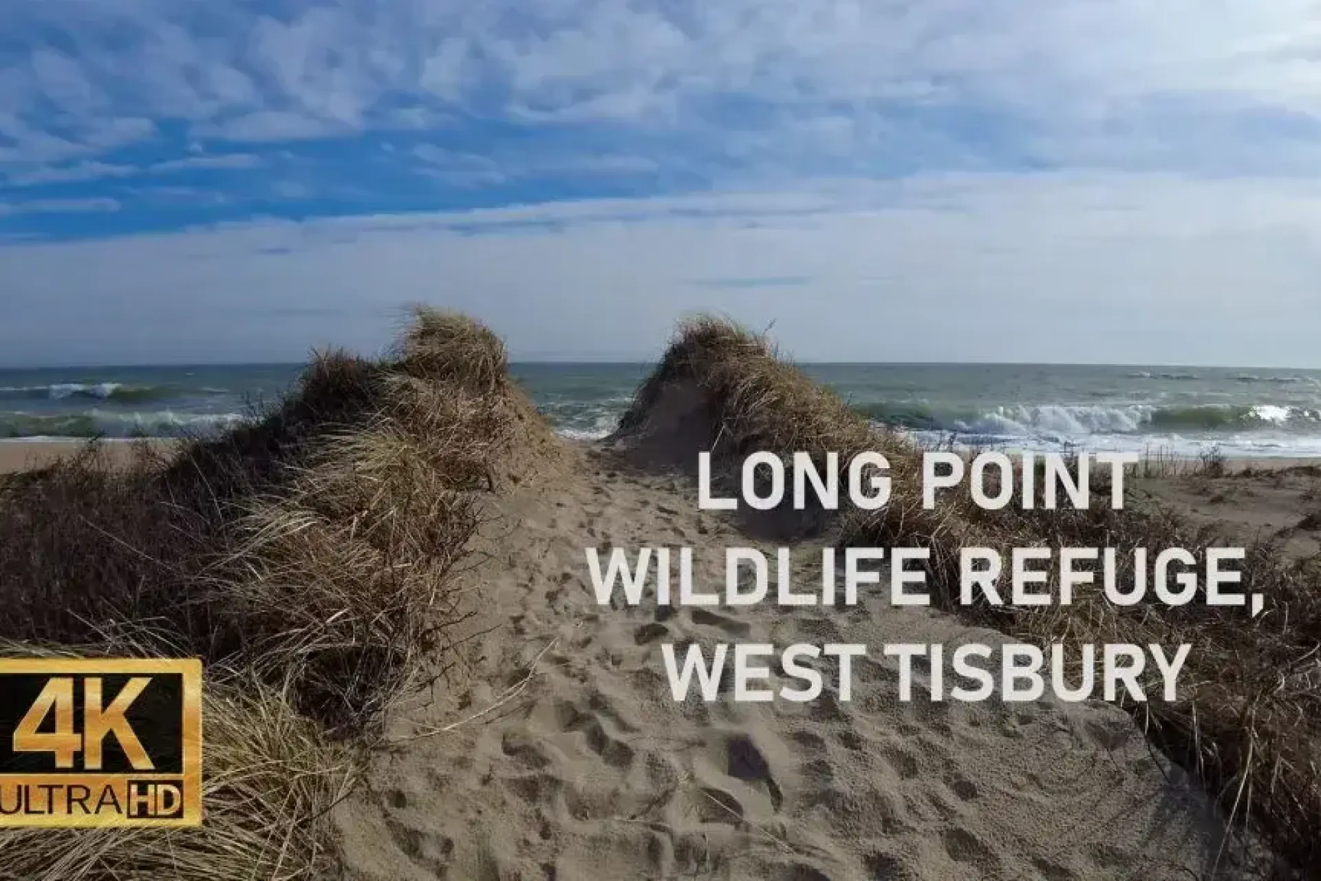 Long Point Wildlife Refuge: Complete Visitor Guide (2026)
