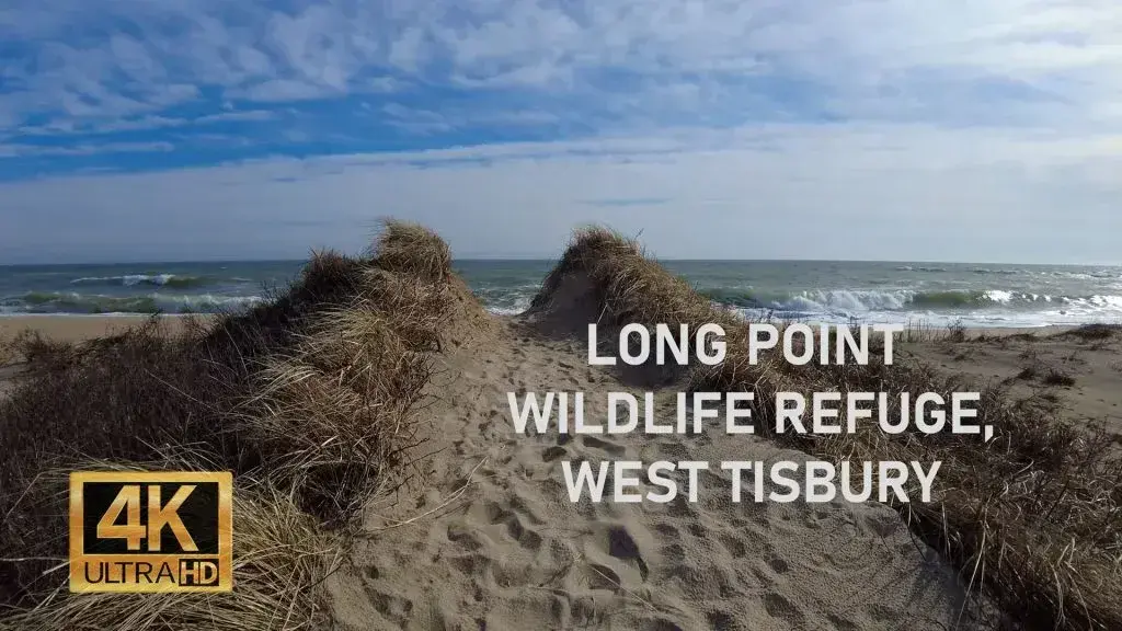 Long Point Wildlife Refuge: Complete Visitor Guide (2026)