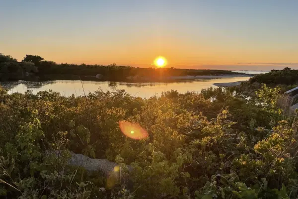 Golden sunset over a tidal pond and beach shrubs