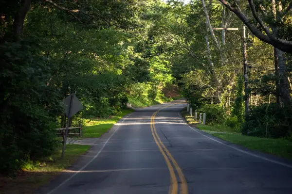 Curving tree-shaded road on Martha's Vineyard