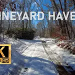 Winter Wonderland Stroll: A Scenic Walk on Martha's Vineyard
