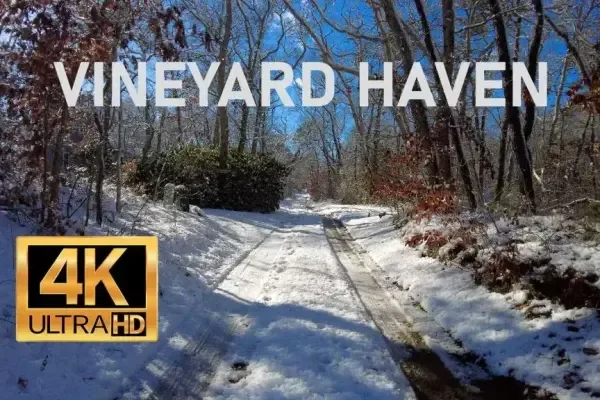 Winter Wonderland Stroll: A Scenic Walk on Martha's Vineyard