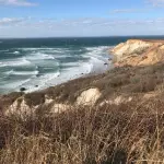 Top Summer Activities on Martha's Vineyard 2024