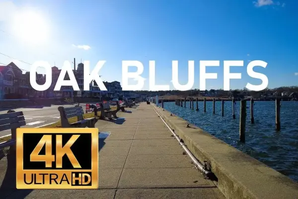 Oak Bluffs Marina & Harbor in Winter: A Walking Guide