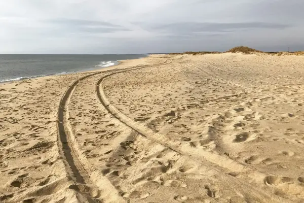 Tire tracks in the sand at South Beach, Edgartown