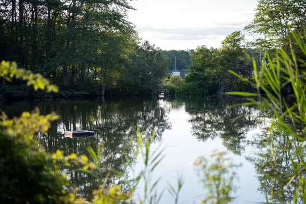 Calm, tree-lined waters of Lake Tashmoo