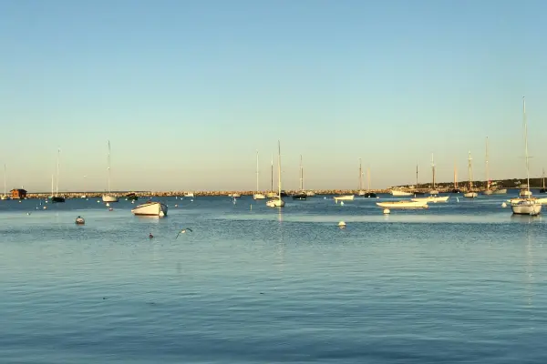 Moored boats dotting Vineyard Haven harbor at golden hour
