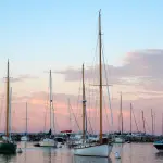 Vineyard Haven