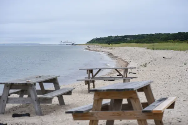 Picnic tables on the beach with a ferry in the distance