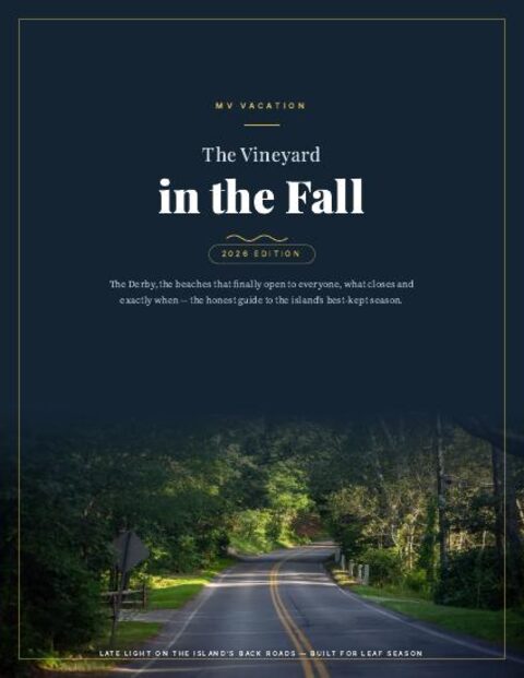 The Vineyard in the Fall 2026 cover