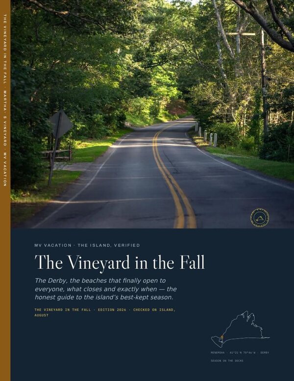 The Fall Guide cover