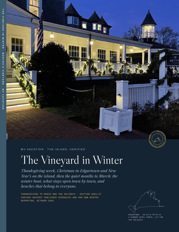 The Vineyard in Winter cover